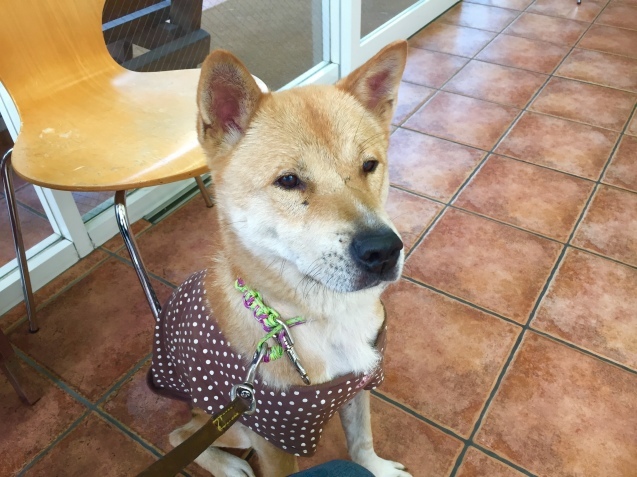 c0332184_18461300.jpeg