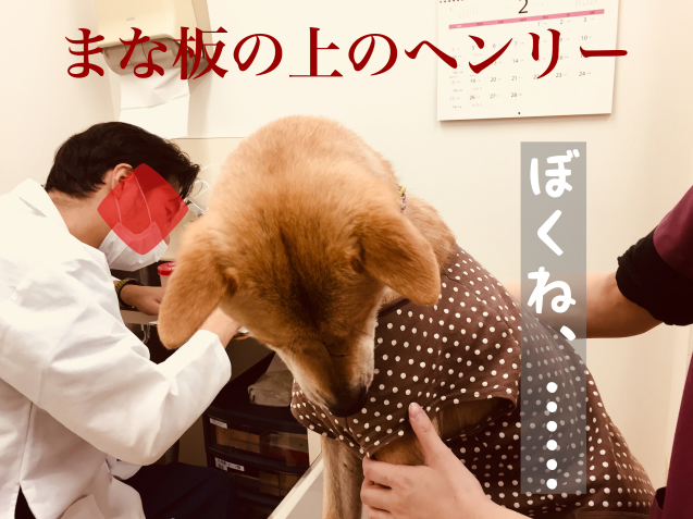 c0332184_21554605.jpeg
