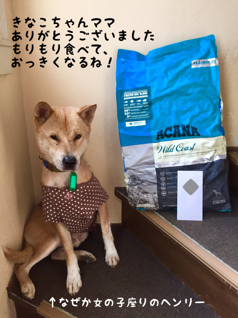 c0332184_21562891.jpeg
