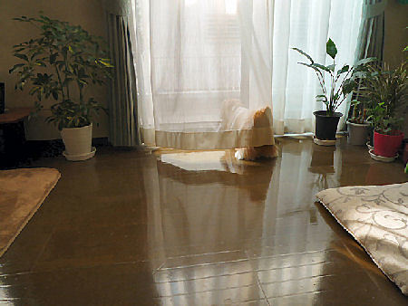 e0346998_10575577.jpg