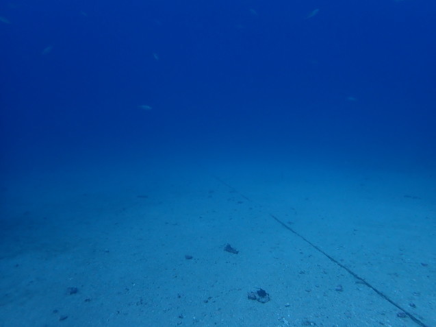e0115199_19415549.jpg