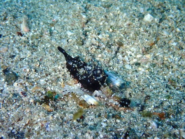 e0115199_19423068.jpg