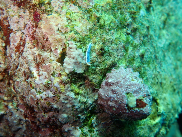 e0115199_20211621.jpg