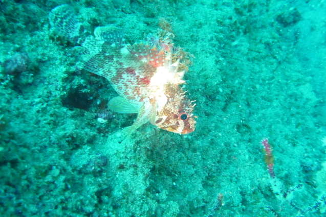 e0115199_20342991.jpg