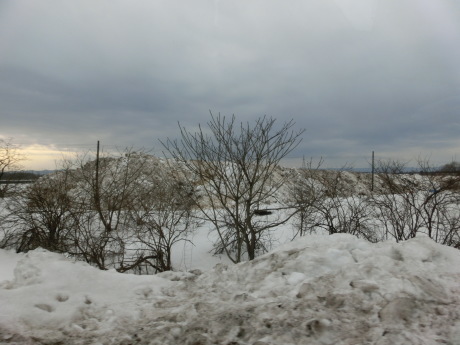 a0203003_19512233.jpg