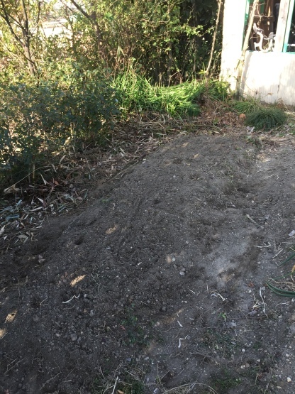 竹の根問題と1m切り 楽園生活