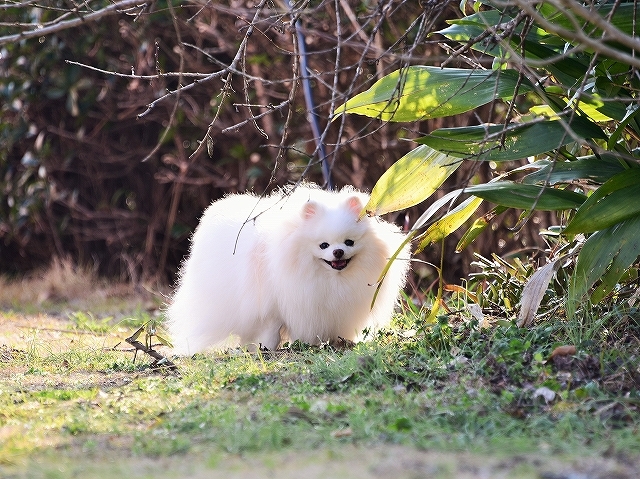2番目に好き_d0360206_01023468.jpg