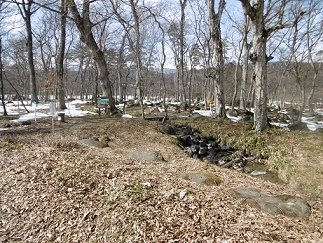 b0146611_23003395.jpg