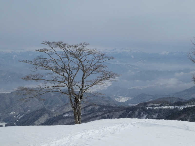 雪山登山　猪臥山 (1,518.8M)   下山 編_d0170615_19015074.jpg