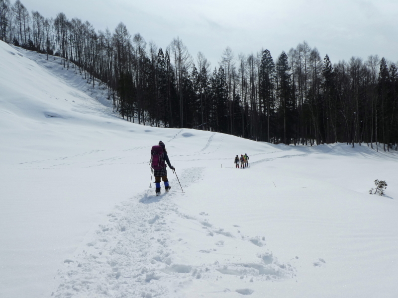 雪山登山　猪臥山 (1,518.8M)   下山 編_d0170615_19025487.jpg