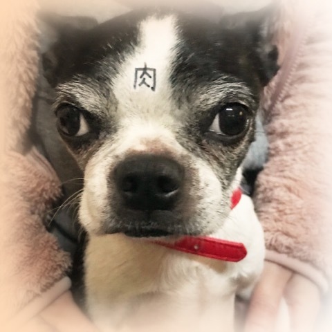勉強の合間の…_c0211221_09271880.jpeg