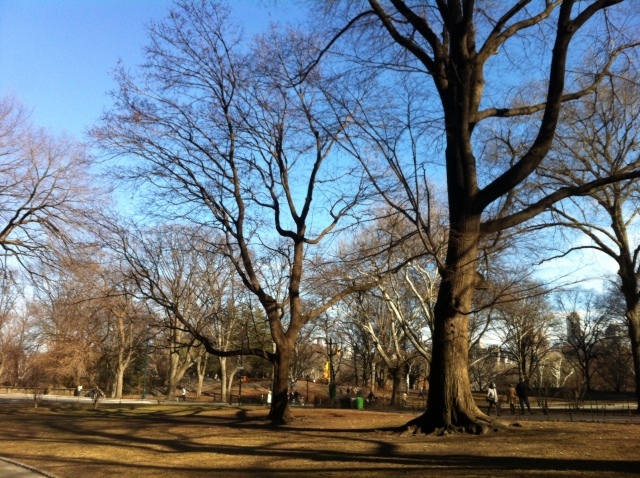 b0221428_15322930.jpeg