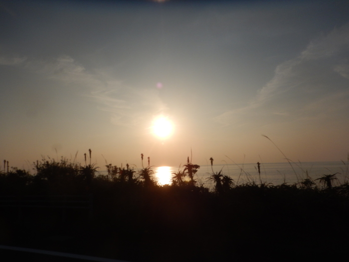 a0248230_23362506.jpg