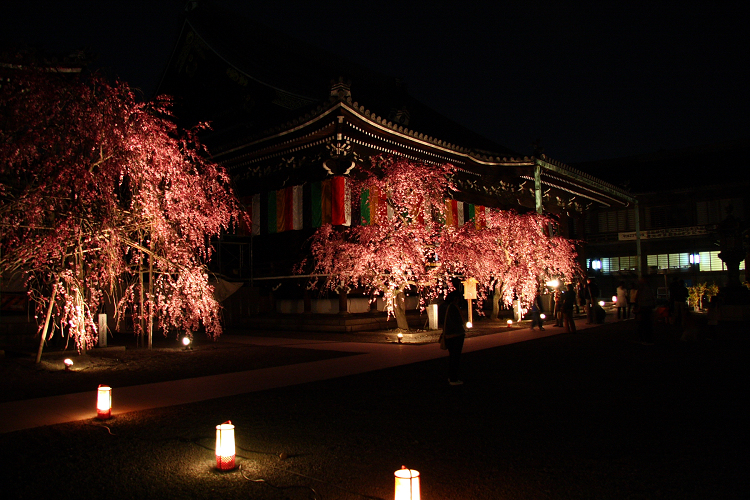 京都回顧 桜の佛光寺ライトアップ_b0169330_23402756.jpg