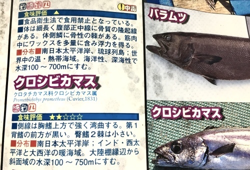 a0132631_12501014.jpeg