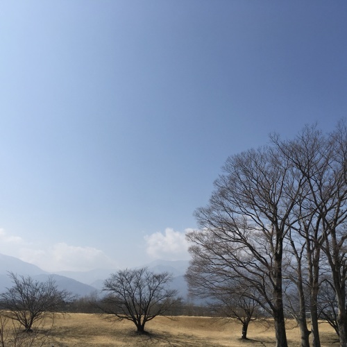a0291132_17394112.jpeg
