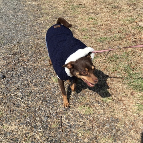 a0291132_17403900.jpeg