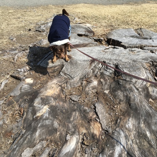 a0291132_17411748.jpeg