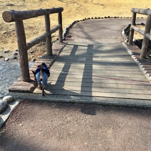a0291132_17442615.jpeg