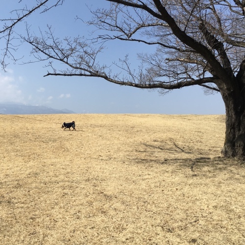 a0291132_17464728.jpeg