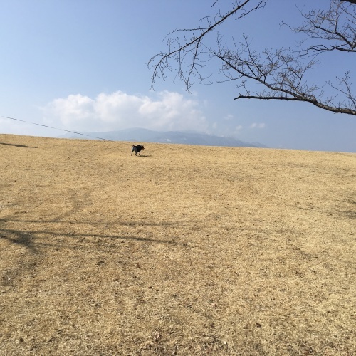 a0291132_17470239.jpeg