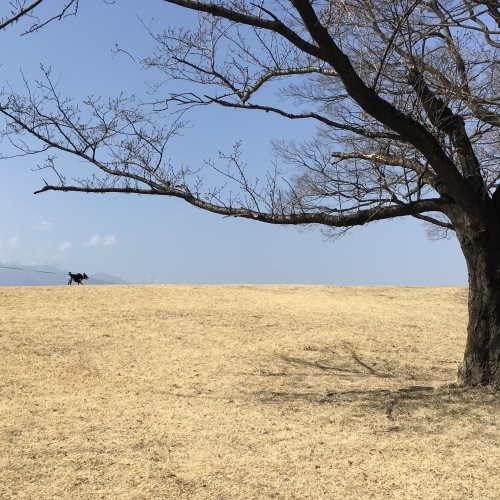 a0291132_17481570.jpeg