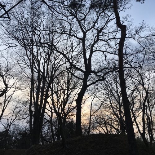 a0291132_17530222.jpeg