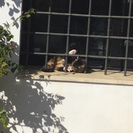 b0150335_18063329.jpeg