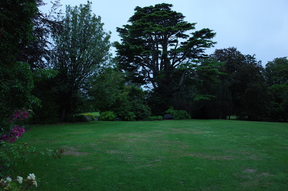 a0287336_1655678.jpg