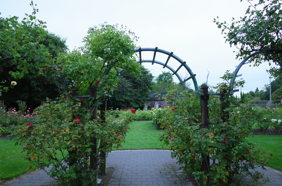 a0287336_16572361.jpg