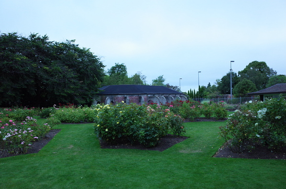 a0287336_16582116.jpg