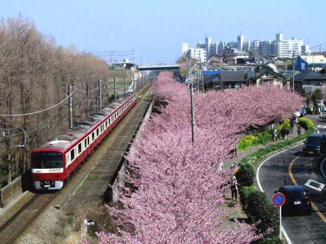 a0351636_17172976.jpg