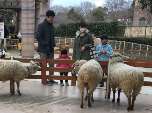相模原公園のグリーンハウスとふれあい動物広場 散歩ガイド 相模原公園のグリーンハウスとふれあい動物広場 散歩ガイド
