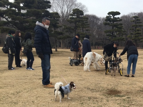 b0330040_13175962.jpeg