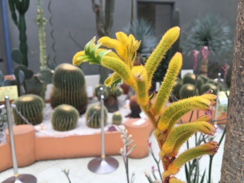 b0330040_20155222.jpeg