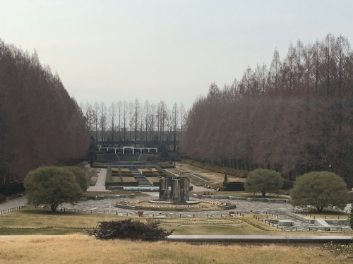 b0330040_20190870.jpeg