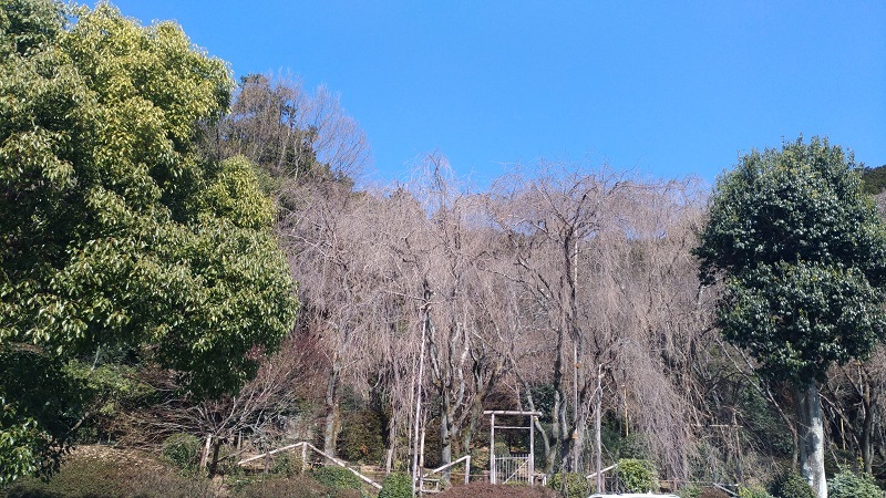 a0054041_02301802.jpg