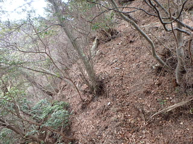 f0334143_839752.jpg