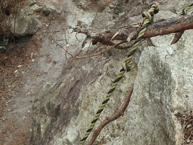 f0334143_8411811.jpg