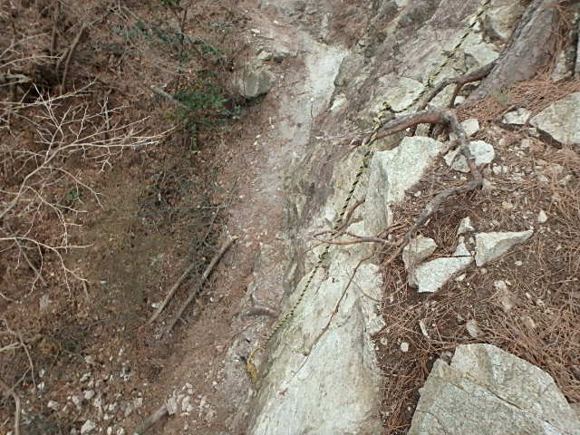 f0334143_841839.jpg