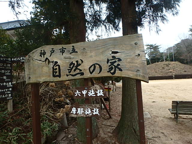 f0334143_845351.jpg