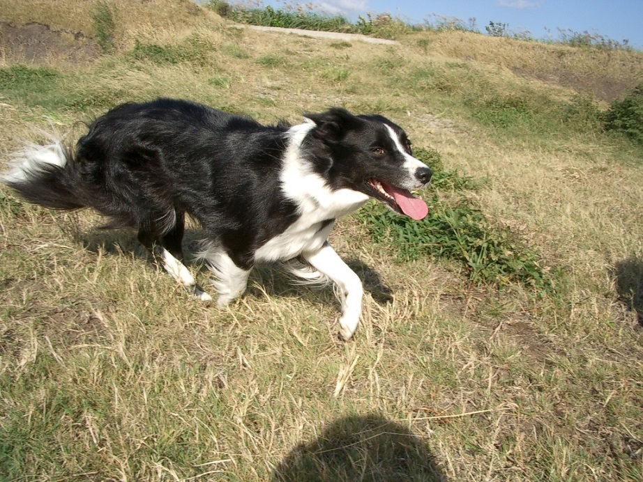 e0128144_05355132.jpg