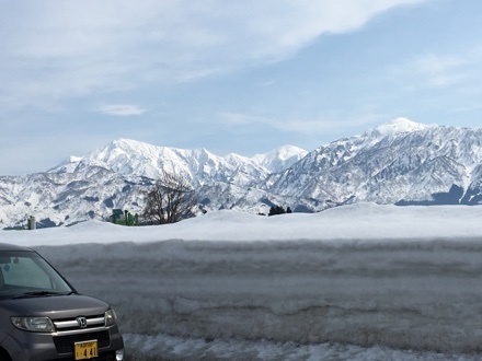 a0346455_13481940.jpeg