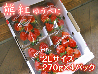 熊本限定栽培品種の高級イチゴ『熊紅(ゆうべに)』令和２年度の出荷スタート！大好評販売中！_a0254656_19410211.jpg