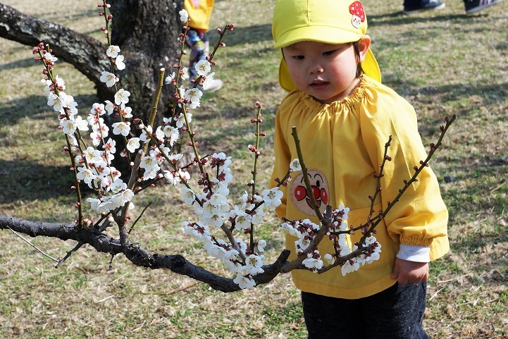 梅の花の下で_c0248473_20122162.jpg