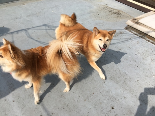 b0377882_16173328.jpeg