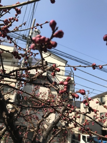 f0218182_10360128.jpg