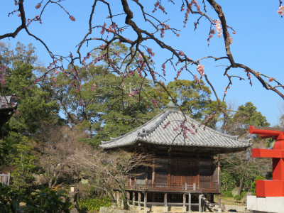 c0125501_23521620.jpg