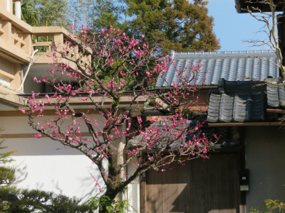 c0125501_23522661.jpg