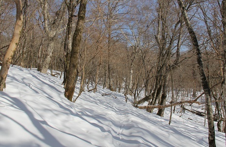 a0158702_07485638.jpg